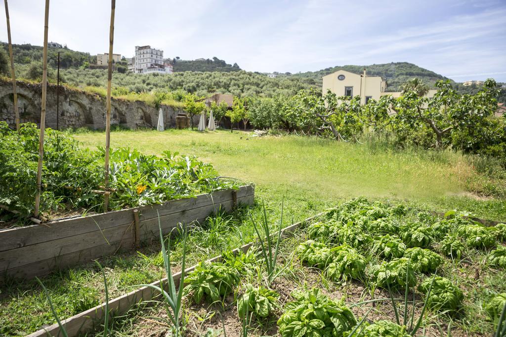 Relais Regina Giovanna Sorrento Ngoại thất bức ảnh