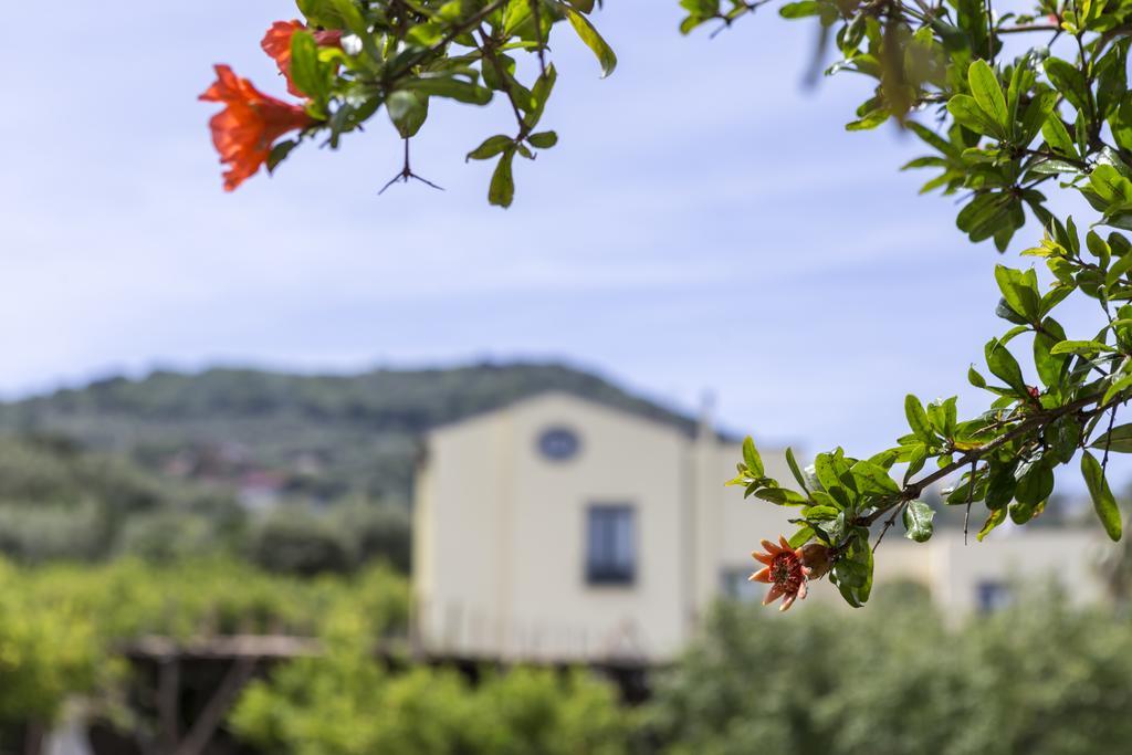 Relais Regina Giovanna Sorrento Ngoại thất bức ảnh